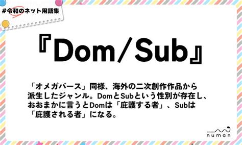 ドムサブとは|Dom/Subユニバース (どむさぶゆにばーす)とは【ピクシブ百科事。